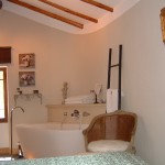 bathroom eze suite village .JPG