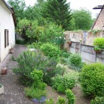 2009-05-15 - Terrasse    .JPG